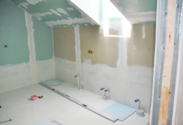 Best Black Mold Removal  in Wells, MN