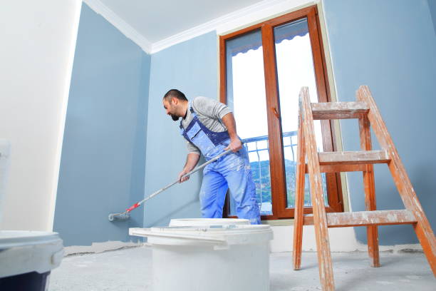 Best Asbestos and Lead Testing During Mold Inspection  in Wells, MN