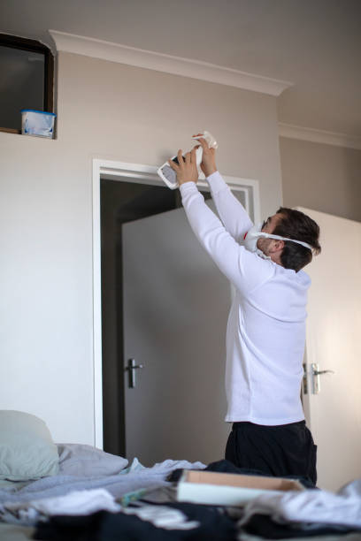 Best Commercial Mold Inspection  in Wells, MN