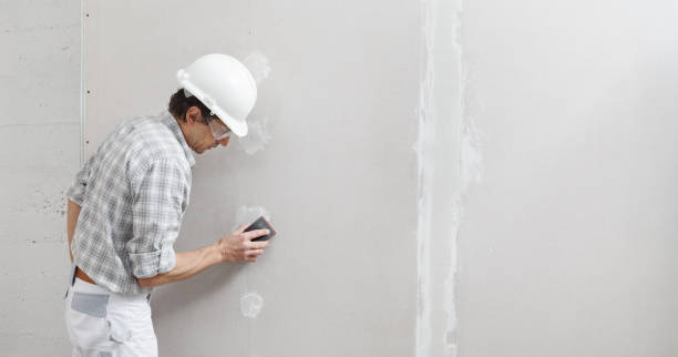 Wells, MN Mold Removal Company