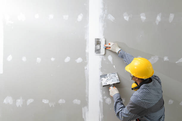 Best Mold Documentation for Insurance Claims  in Wells, MN