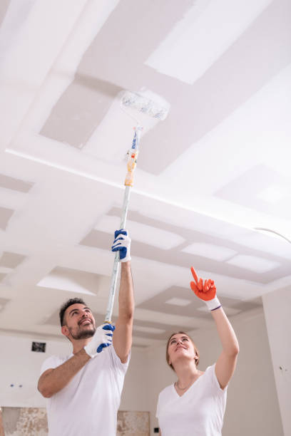 Best Dehumidification Services  in Wells, MN
