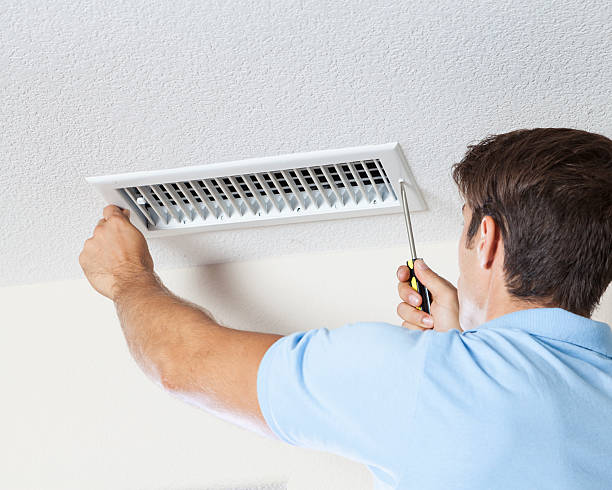 Best Industrial Mold Remediation  in Wells, MN