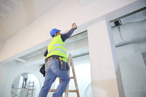 Mold Odor Removal Services in Wells, MN