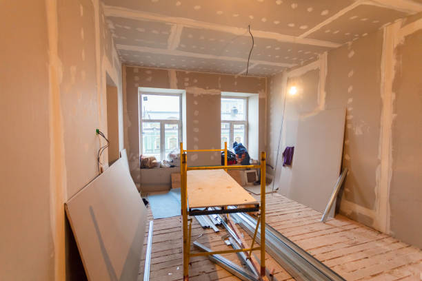 Best Attic Mold Removal  in Wells, MN